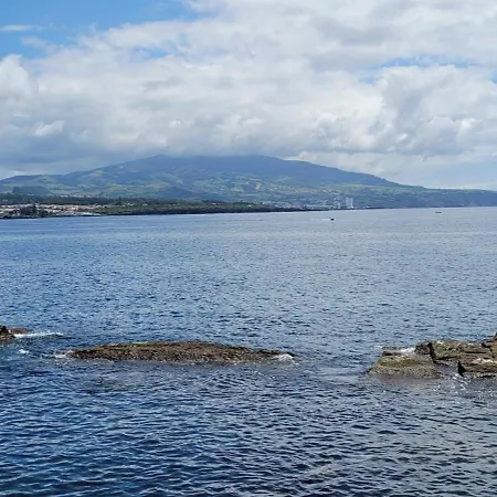 Casa Dos Verdes 別荘 São Roque